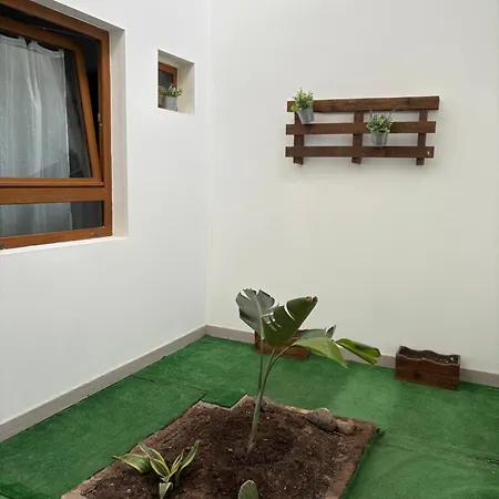 Affittacamere En Vecindario Vecindario (Gran Canaria)